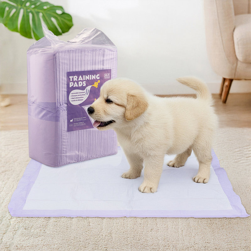 Disposable Fabric Accessory Set