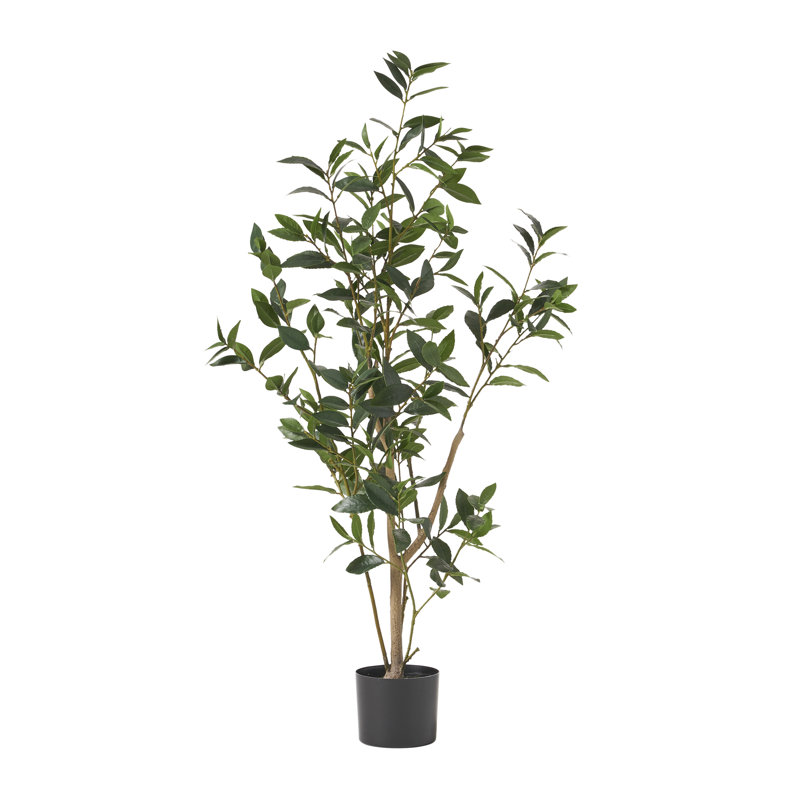 4FT Artificial Laurel Tree (1Pack)