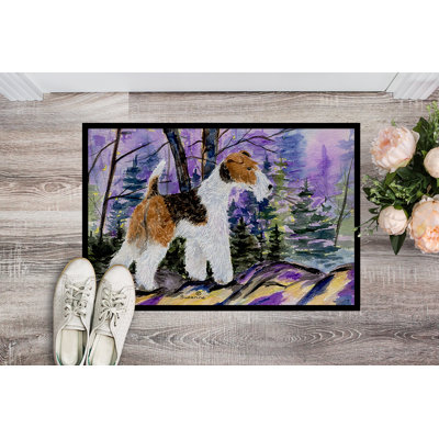 Non-Slip Indoor Doormat