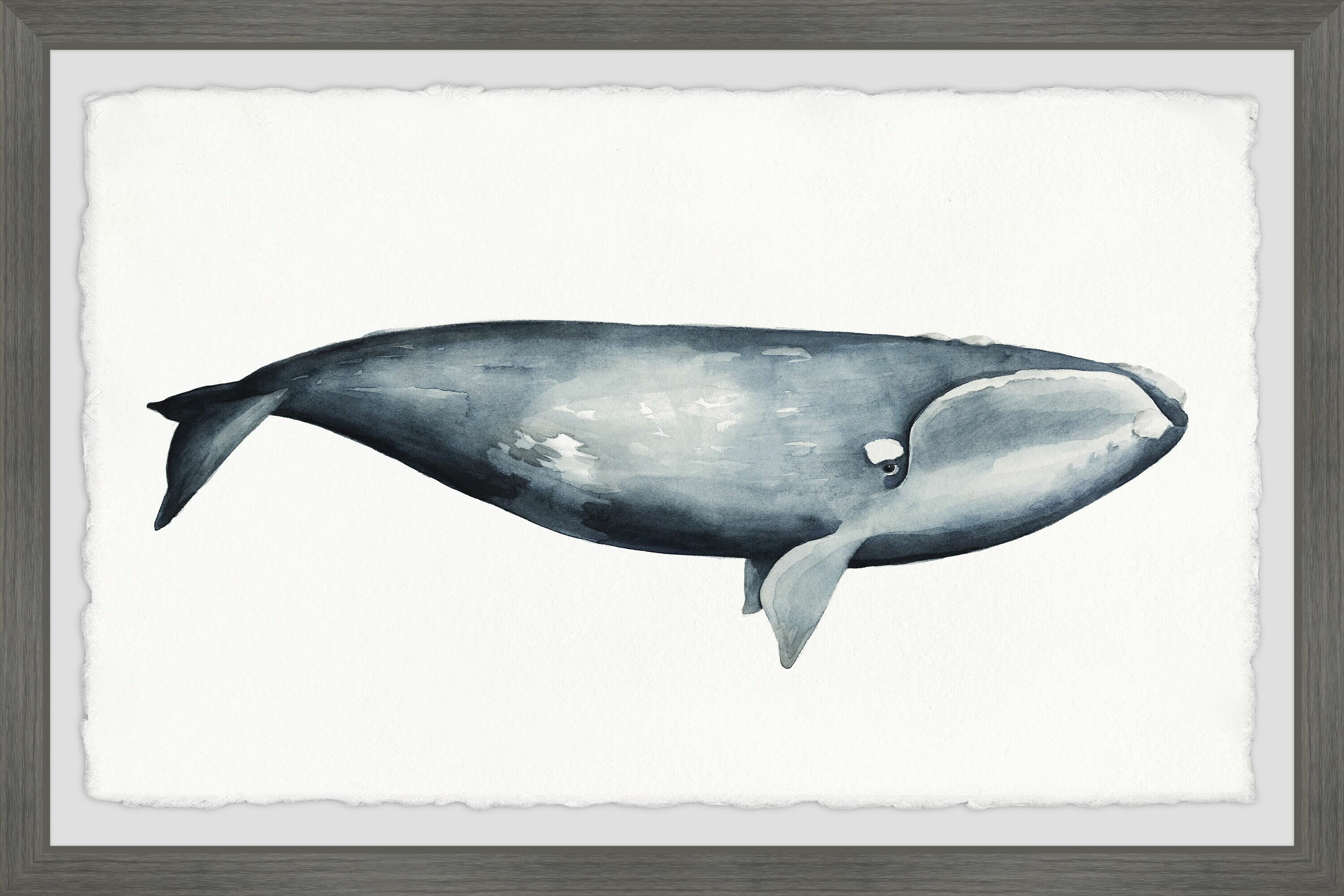Humpback whale, ocean, original drawing, art print 8x10, grey pencil drawing  | Arte Bella on Madeit