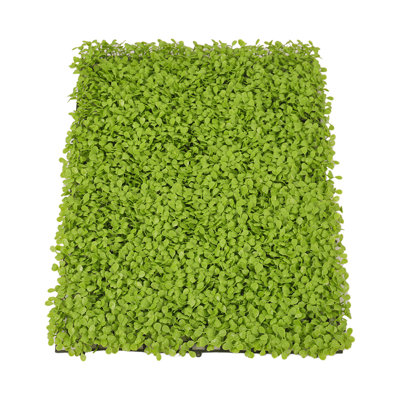 40x60cm Artificial Living Wall Hedge Plant Panel