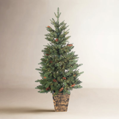 Potted 4' Pre-Lit Pine Tree