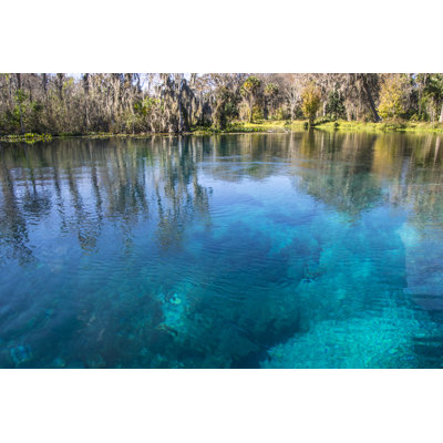 Turquoise Blue Silver Springs by Campphoto