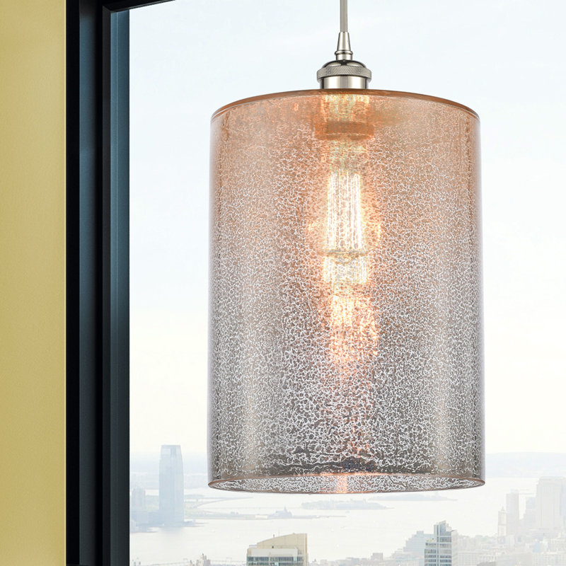 Luminaire suspendu cylindrique à 1 lumière Leilani, Ampoule non incluse, Mercure, Nickel poli