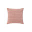 Polished Pink Compass Line Indoor Outdoor Pillow Cover 20x20