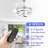 Orren Ellis 42" DIY Shade Chrome Modern Ceiling Fan with Lights and Remote, Quiet and Reversible DC Motor Ceiling Fan-304772254