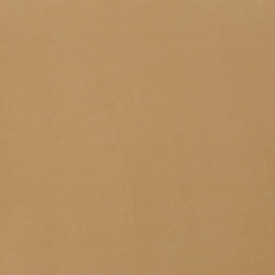 Light Brown Velvet