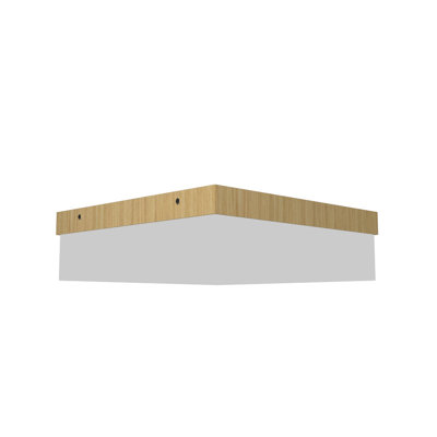 LED Flush Mount