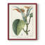 «Turpin Tropical Botanicals II», reproduction encadrée - bois massif-1923421021-1923420965