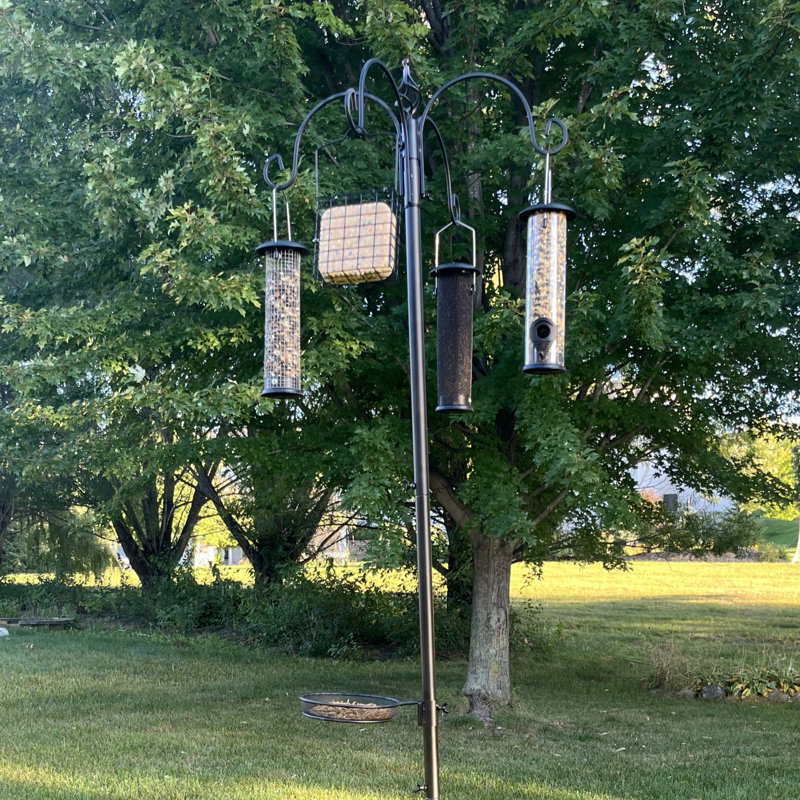 ULTIMATE BIRDFEEDING STATION