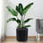 Self-Watering Tall Planters Set of 2 – 16 Inch Large Flower Pots with Water Level Monitor, Drainage Hole, Wheels – Indoor Outdoor Garden Patio Balcony Use – Black-2050124287-2050124257