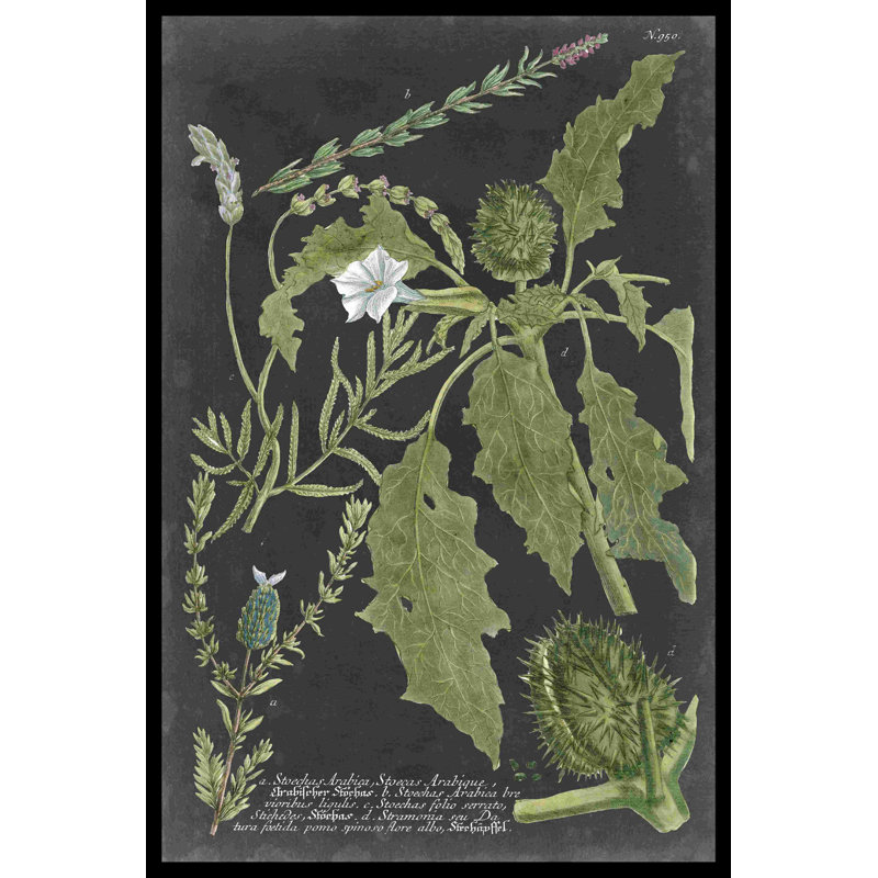 Dramatique Weinmann Greenery II, H 18 po x l 12 po