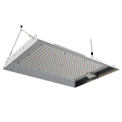 BLUME LED HYDROPONICS Blume 150-Watt full spectrum led Grow Light with daisy chain for indoor plants