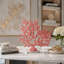 Coral Accent Décor