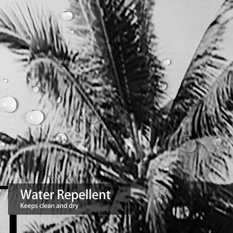 Rideau de douche avec 12 crochets Coconut Palm Trees Sky Tree, L 72 po x l 72 po