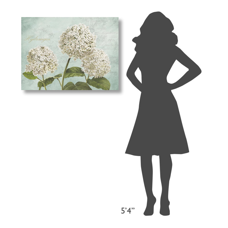 " Hydrangeas I ", 24" H x 32" W x 1.5" D