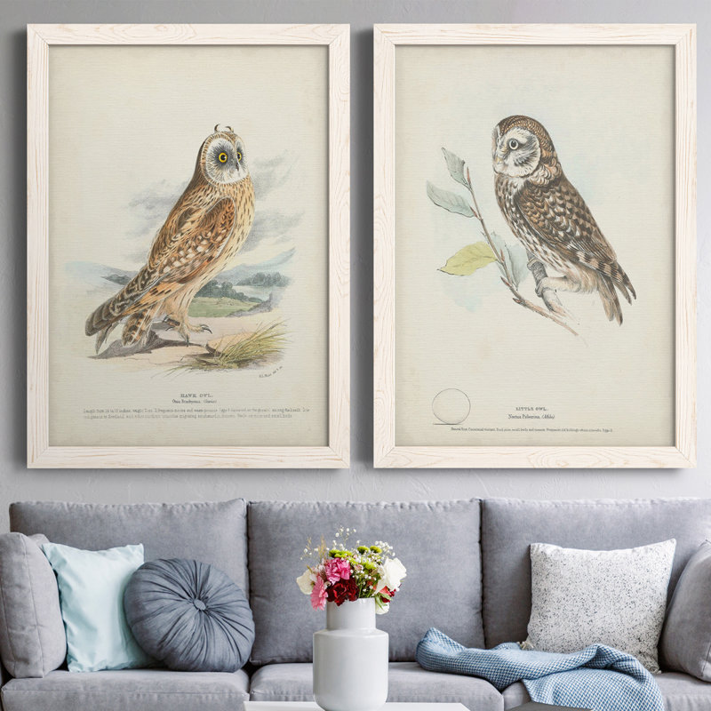 Toile encadrée de qualité supérieure Hawk Owl - prête à être accrochée, Toile blanche encadrée, H 24 po x l 36 po x P 1,5 po