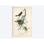 « verger orioles », impression sur toile-30523585-72572375-72572381