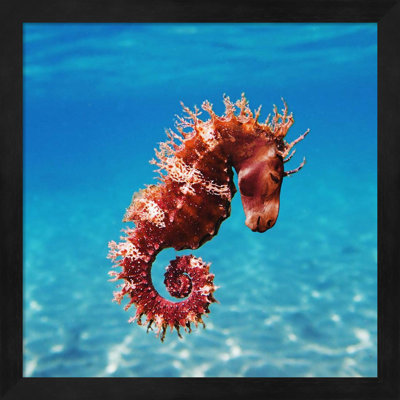 " Seahorse " by Pixelmated Animals