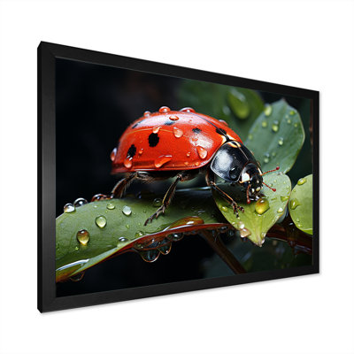 Curious Ladybug Crimson Serenity II