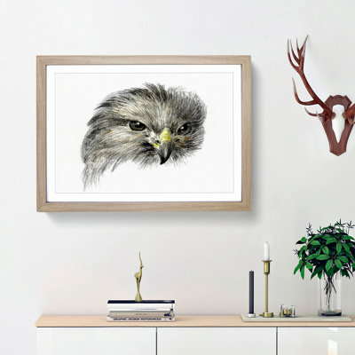Bird of Prey by Jean Bernard - Picture Frame Painting Print