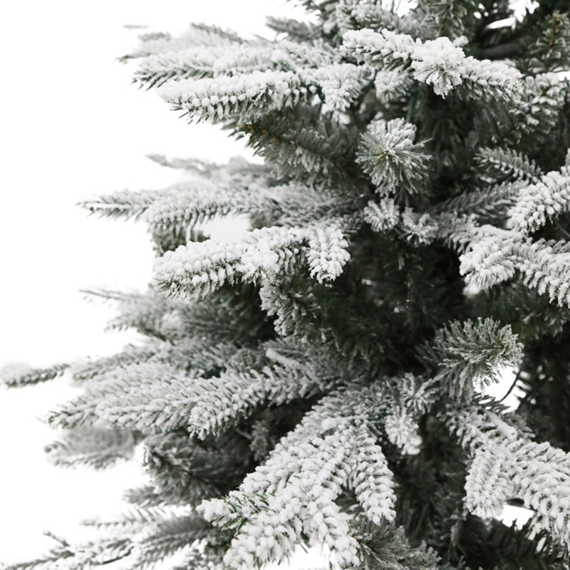 Sapin de Noël illuminé 4 pi avec sapin Fraser