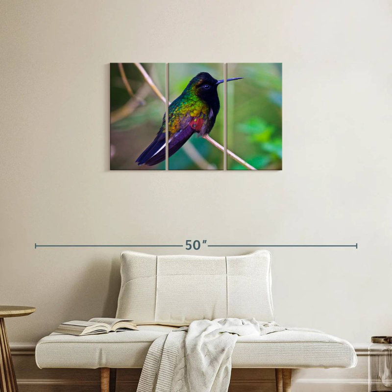 Colibri à ventre noir Brampt, H 20 po x l 33 po