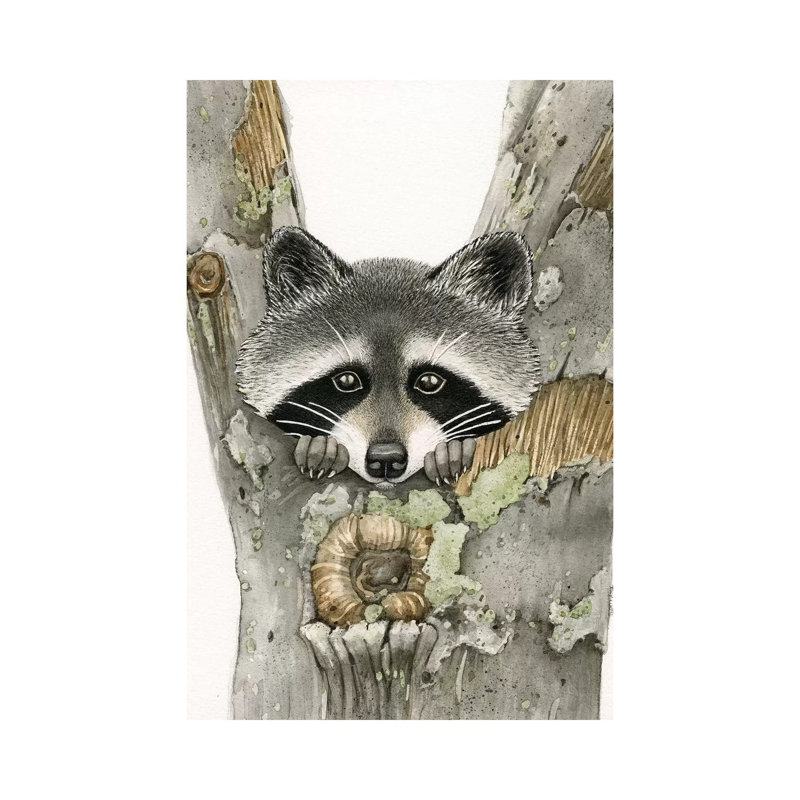 Raccoon by Tracy Lizotte - Painting on Canvas, 30.48cm H x 20.32cm W x 1.91cm D, Wrapped Canvas