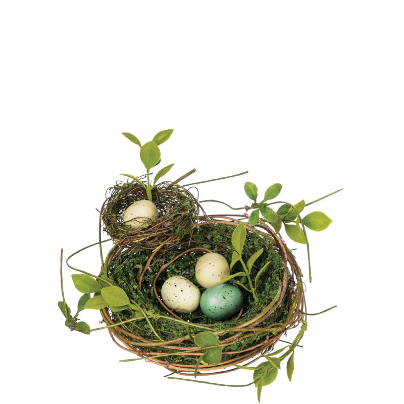 Nest with Eggs