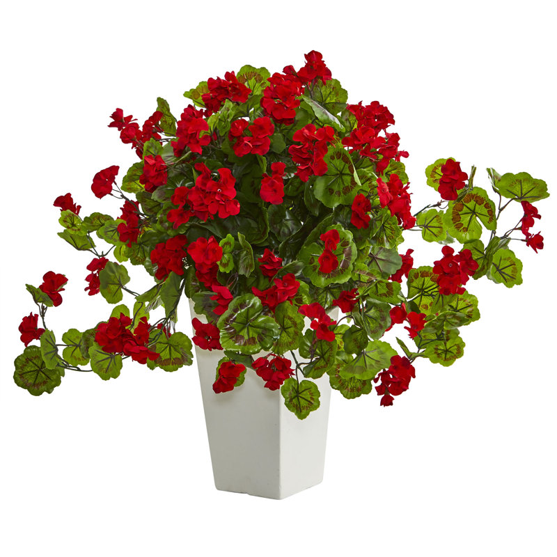 Arrangement floral mélangé géranium dans un pot de fleurs