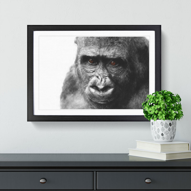 Gorilla with Brown Eyes - Picture Frame Graphic Art Print, Black Framed, 24cm H x 33cm W x 2cm D