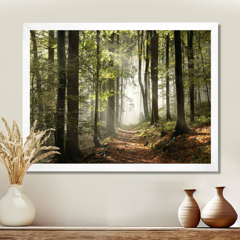 «Green Fall Forest with Sun Rays - Forest», reproduction de photo, H 16 po x l 32 po, Impression encadrée, Blanc