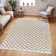 Alexann Geometric Area Rug