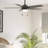 Hunter 52 inch Anisten Ceiling Fan with LED Light Kit and Pull Chain