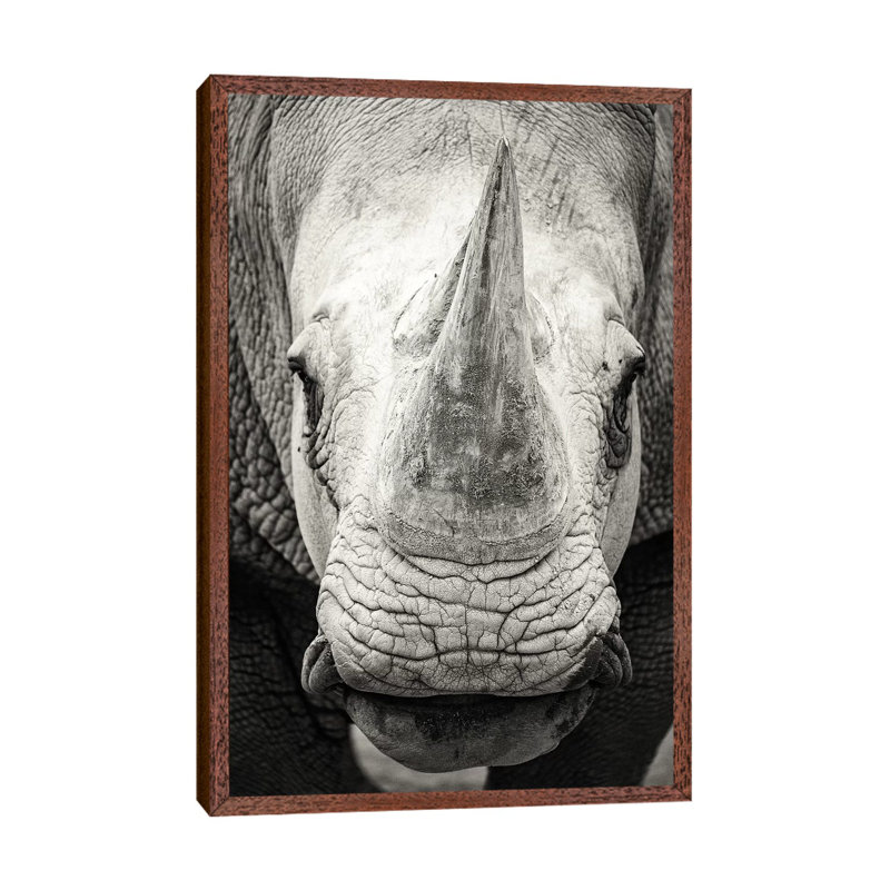 Southern White Rhinoceros Closeup Black And White by Susan Schmitz - Print on Canvas, 101.6cm H x 66.04cm W x 3.81cm D