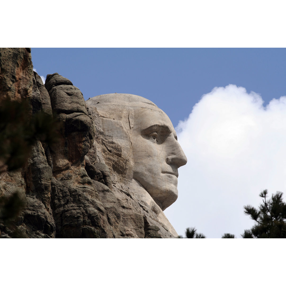 Mount Rushmore National Monument von Spondylolithesis - Kunstdrucke auf Leinwand