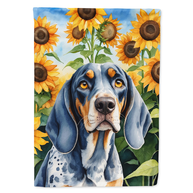 Lévrier irlandais dans le drapeau du jardin de tournesols, Bluetick Coonhound