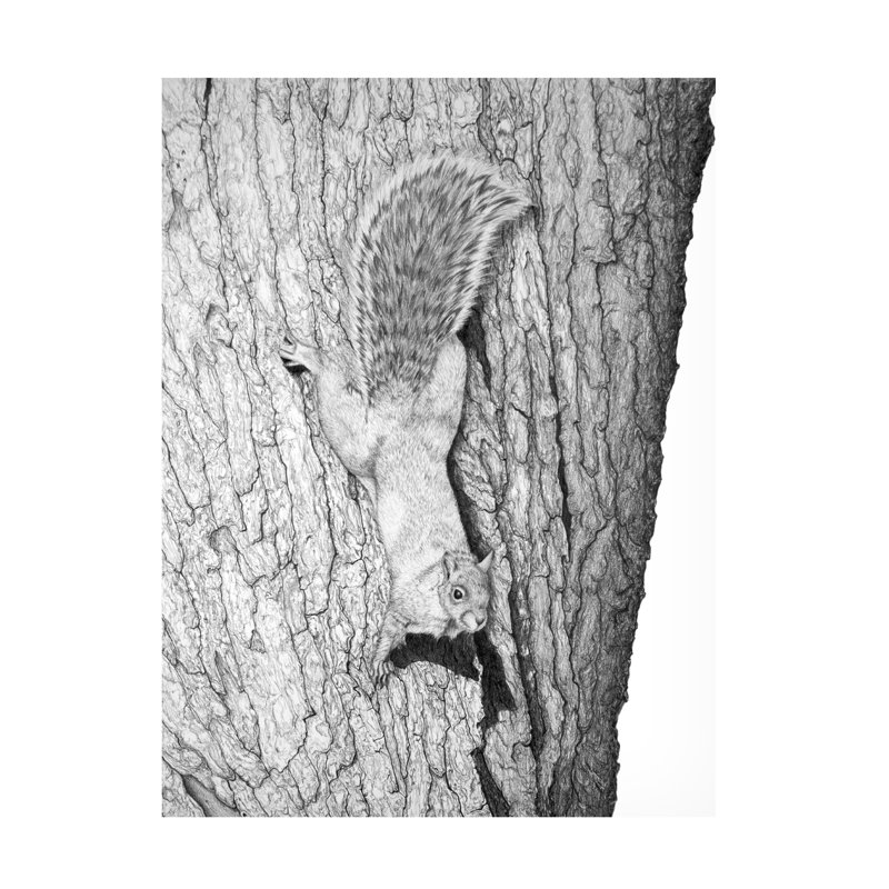 Art sur toile «ologic », H 19 po x l 14 po