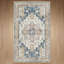 Tapis oriental performance Roehit-1848268764-1865515410