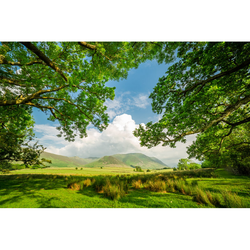 Field And Trees, District Lake, England by Shaiith - Wrapped Canvas Print, 20cm H x 30cm W x 3.8cm D