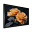 Monochromes roses noires et jaunes Bloom I - Roses, art mural-1697203456-1802137402