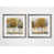 Brown Framed