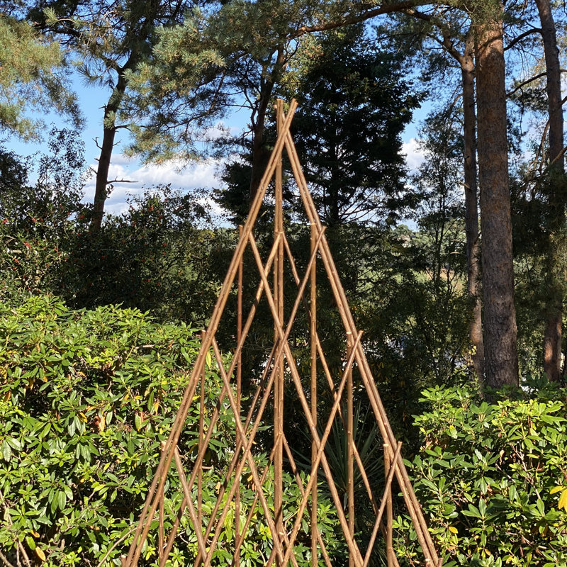 Alitzah Wood Expanding Trellis, 150"H x 45" W x 45" D