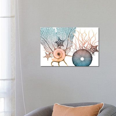 Sea Collective IV 1 Piece Wall Art on Canvas