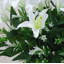 Décoration de fleurs de lys-669650770