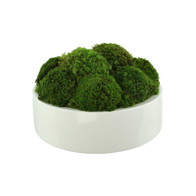 Nature's Nostalgia 8'' Moss Plant in Fiberstone Planter