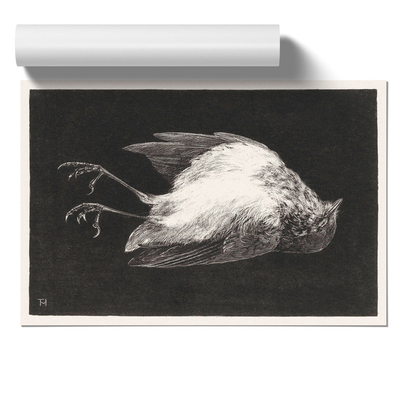 Dead Robin by Theo Van Hoytema - No Frame Painting, 21cm H x 30cm W x 0.1cm D
