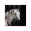 Pane Print by Chelsea Art Studio-26926948-26926951