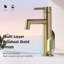 Bathroom Faucet Single Handle Brass Vanity Sink Faucets-102640072