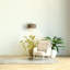 Eleanore 156cm Traditional Floor Lamp-1447327809